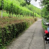 1208F 069 Neckar Weinanbau